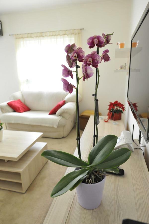 Vlatka Apartman Split Zewnętrze zdjęcie